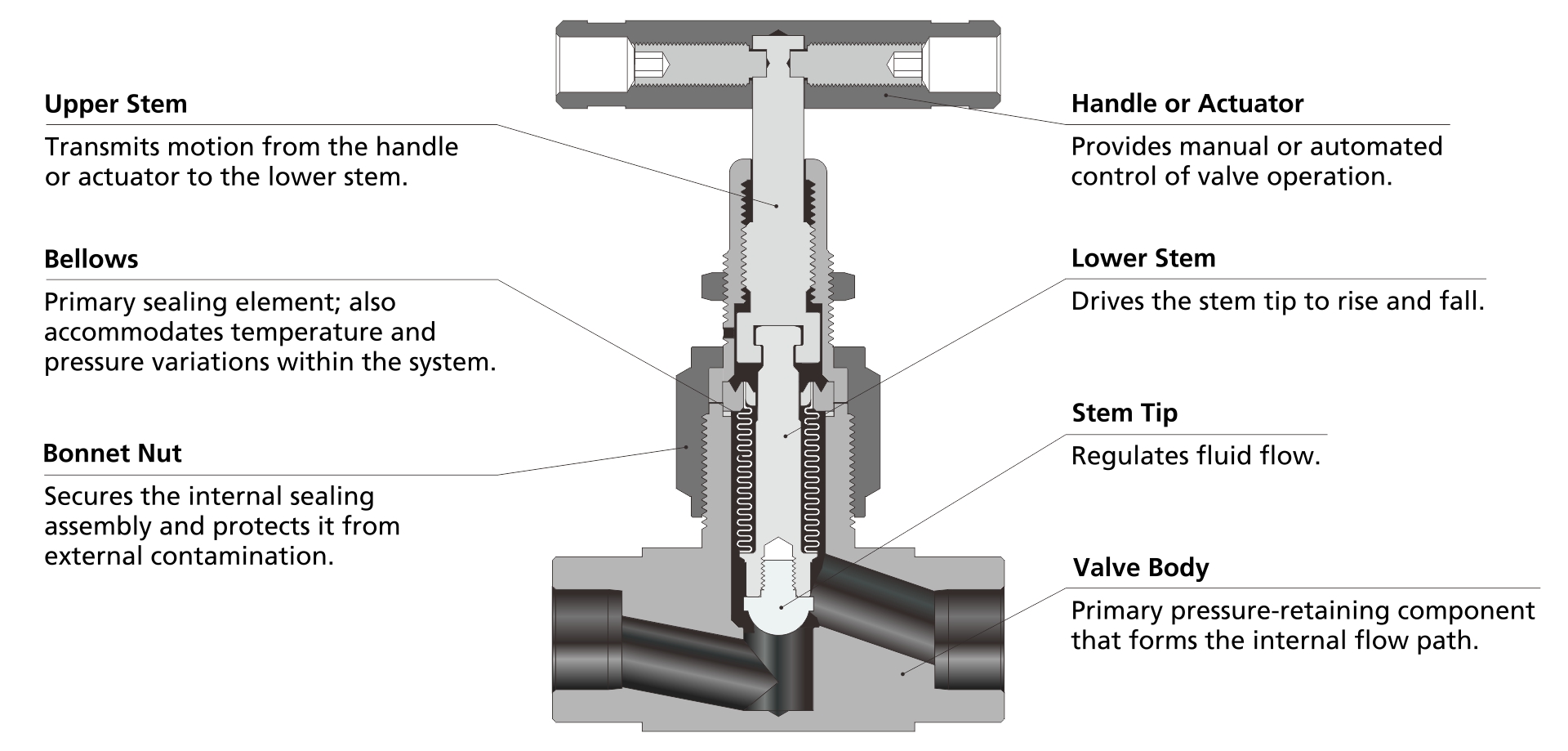 Typical Structure of the FITOK SW Series Bellows-Sealed Valve