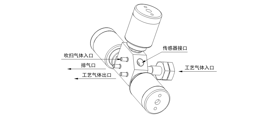 飞托克FITOK吹扫阀组的一种典型端口配置图